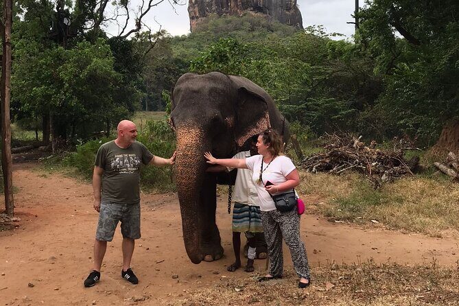 8 Days Private Guided Tour in Sri Lanka with accommodation (BB) - Sigiriya rock fortress day: views, Lion Rock, and what to plan for