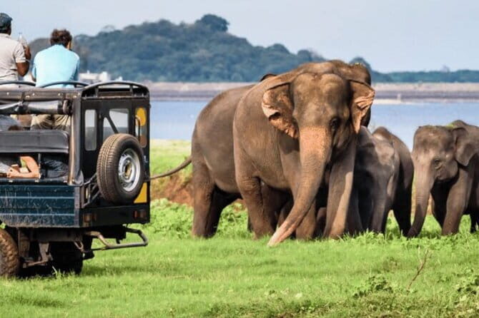 9 Days Guided Tour Through Sri Lanka - Sigiriya (Lion Rock): the classic climb with a history-shaped payoff
