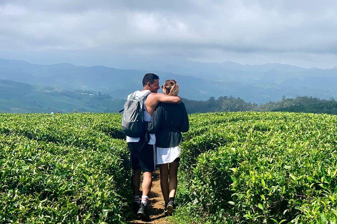 A Day in Nuwara Eliya: Sights & Local Delights - Key things worth knowing before you go