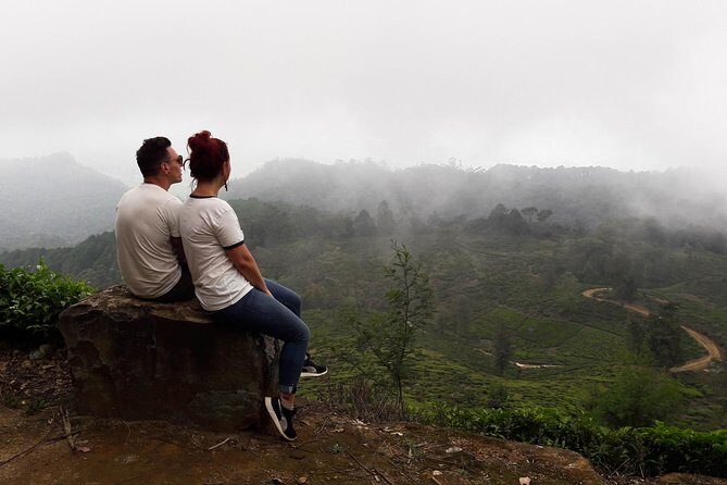 A Day in Nuwara Eliya: Sights & Local Delights - Tea fields and the downhill hike to Nanuoya