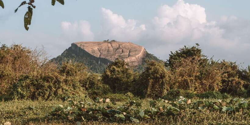 A Hidden Gem in Sigiriya: Magical Boat Journey. - Key highlights at a glance