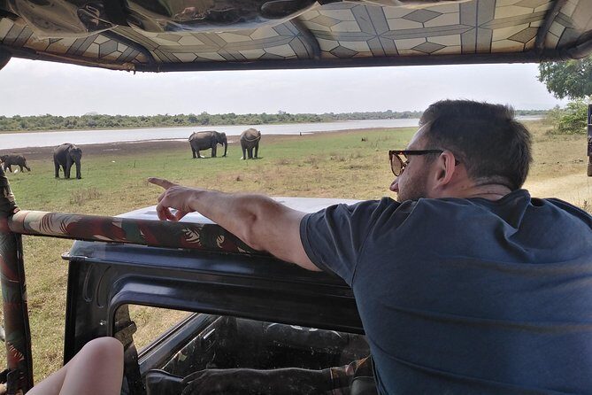 A Udawalawa Park safari, Tour from Colombo/Galle- (All inclusive) - Why Udawalawe is such an easy wildlife day from Colombo/Galle