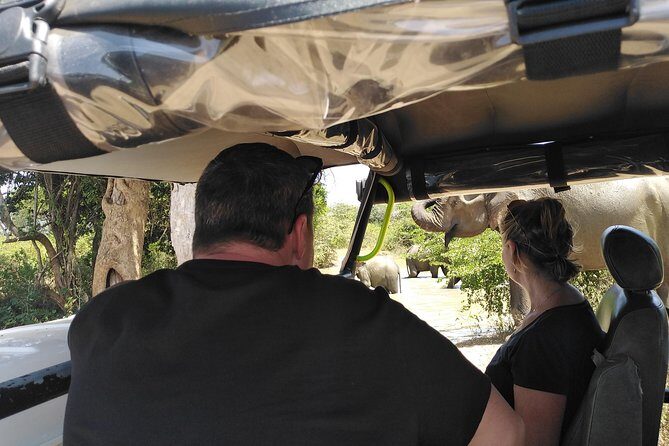 A Udawalawa Park safari, Tour from Colombo/Galle- (All inclusive) - Udawalawe National Park: how the 4WD safari time really works