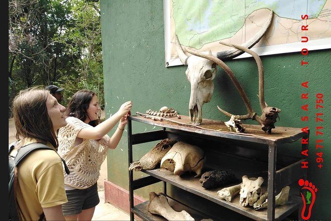 A Udawalawa Park safari, Tour from Colombo/Galle- (All inclusive) - Wildlife you can realistically hope to see (and why close encounters matter)