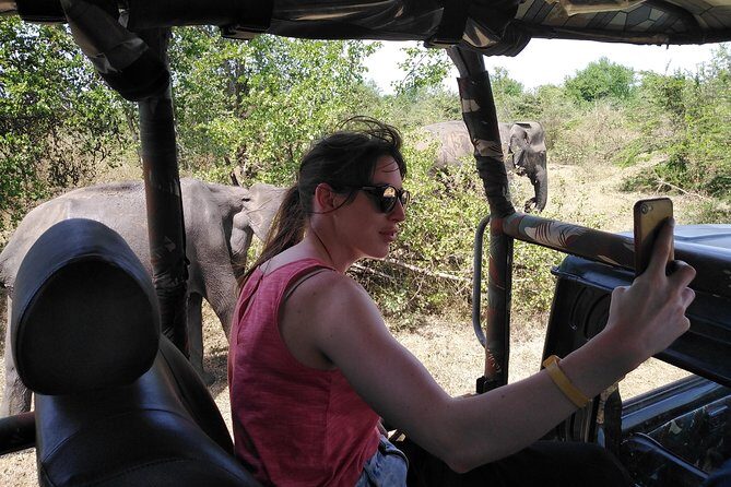 A Udawalawa Park safari, Tour from Colombo/Galle- (All inclusive) - Price and what you’re really getting for $195