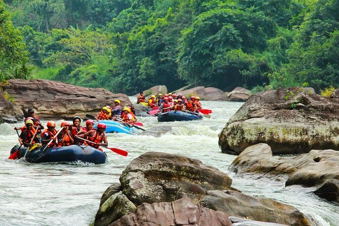Adventure Experience N in Kitulgala - What your guide does (and why reviews care about it)