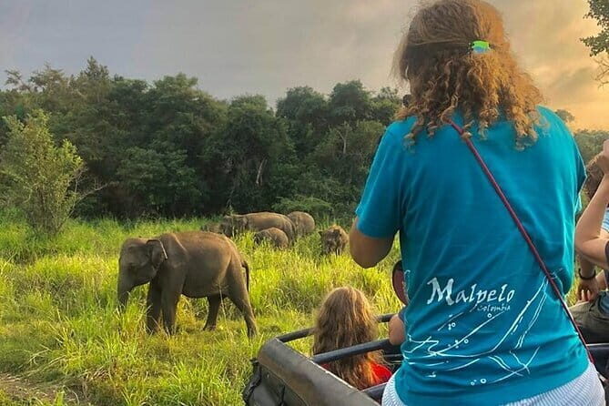 Adventure safari Experience in Hurulu Eco Park, Sri Lanka - Hurulu Eco Park: your best odds at elephant sightings