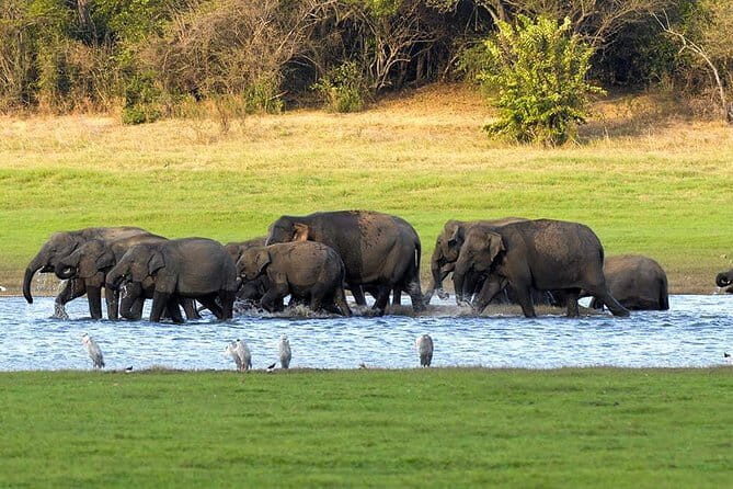 Adventure safari Experience in Hurulu Eco Park, Sri Lanka - Should you book this Hurulu Eco Park adventure safari?