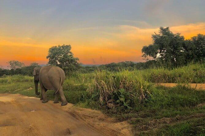 Adventure safari Experience in Hurulu Eco Park, Sri Lanka - Price and value: what $50 covers (and what to budget for)