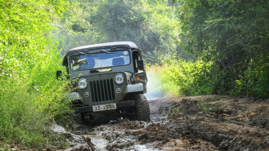 Ahangama: Udawalawe National Park Safari with Hotel Pickup - Comfort and practicality: who this private safari suits best