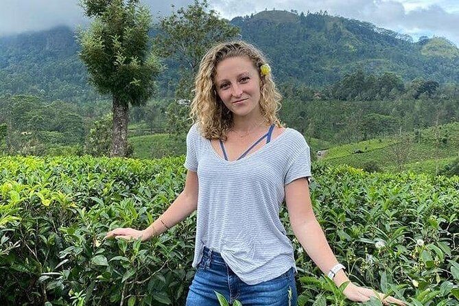 Air port Pick up and Drop to Kandy - What the Booking Experience Is Like in Practice
