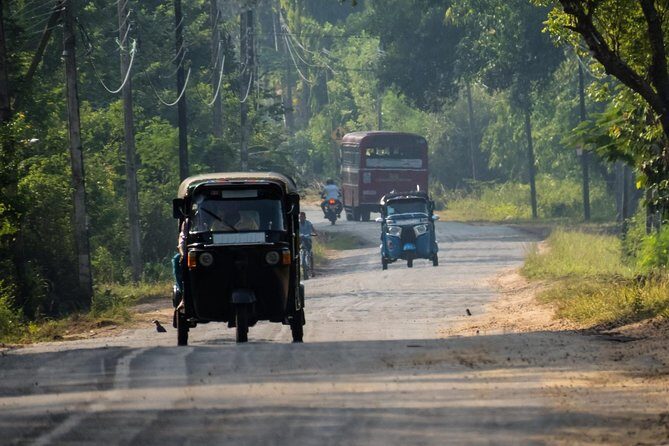 Airport Layover Colombo City tour - Price and value: what $80 buys in real life