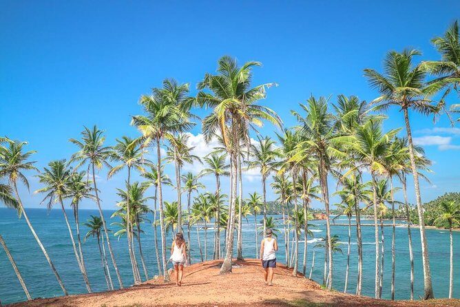 Airport Taxi Transfers from Colombo Airport to Mirissa - Key highlights to know before you go