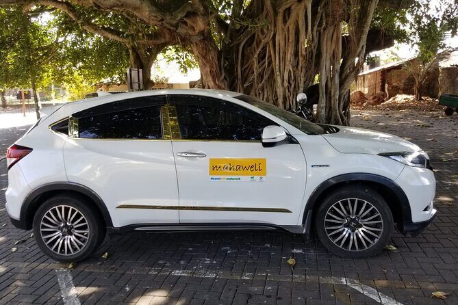 Airport to Kandy Drop - Roadside Stops and Detours: Tea Breaks vs. Straight-to-Hotel Energy