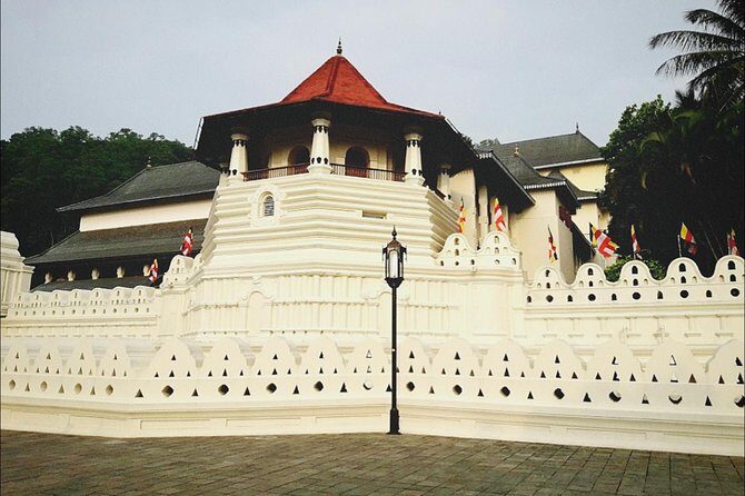 All in one Sri lanka 7nights 8 days for couple price - What This 7-Night Sri Lanka Package Really Covers