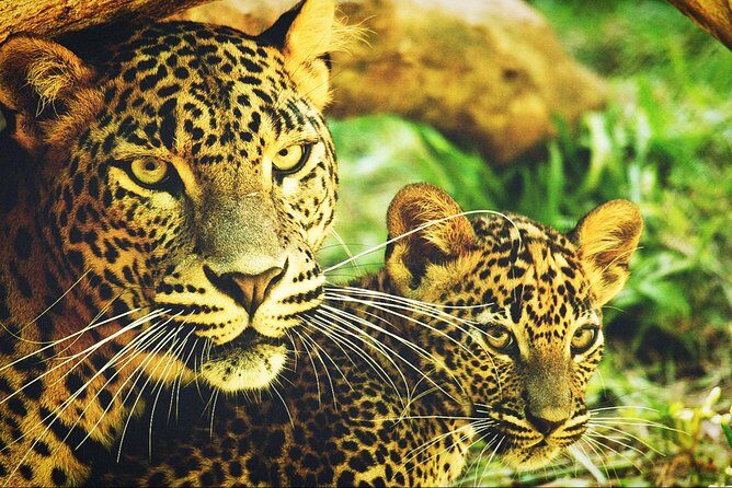 All in one Sri lanka 7nights 8 days for couple price - Bentota: Coastal Time Without Losing Your Schedule