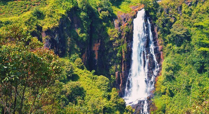 All in one Sri lanka 7nights 8 days for couple price - Price and Value: Is $720 a Smart Deal for Two?