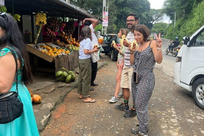 All Inclusive 5-Days Highlights of Sri Lanka - Colombo start: the value of being met and carried