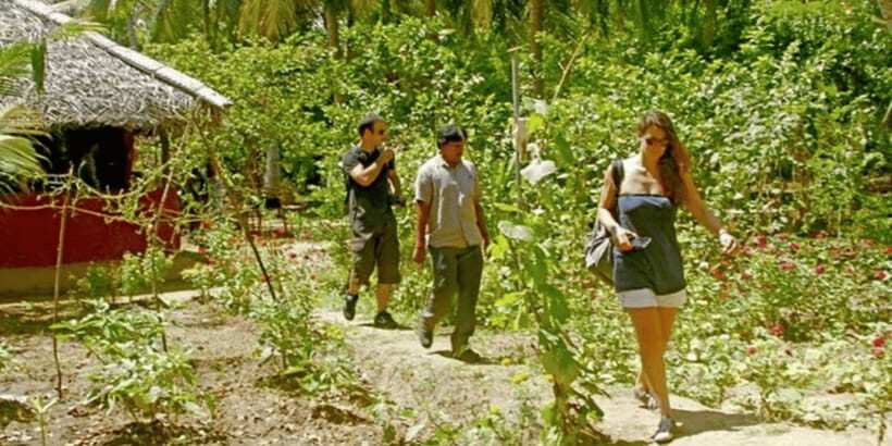 All-Inclusive Dambulla Village Tour with Traditional Lunch - Paddy field walk with a guided route: what you’ll actually see