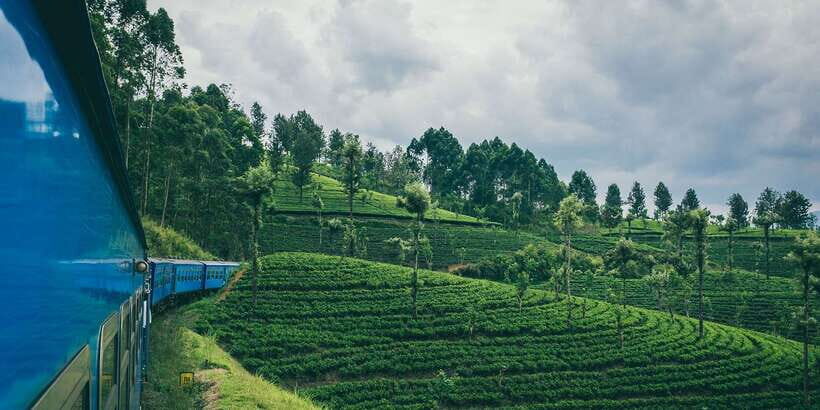 All Inclusive Ella From/To Kandy Scenic Train Journey - First-Class Seats, Drinks, and Snacks: The Comfort Portion
