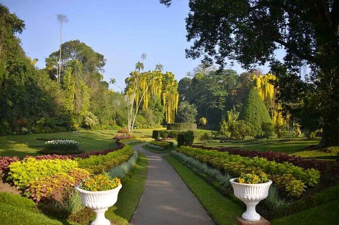 All Inclusive Kandy Private Day Tour From Colombo and Negombo - Udawattakele Forest Reserve and the Buddha statue: nature + views in one sweep