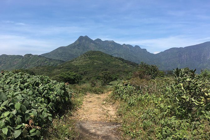 All Inclusive Knuckles Day Track With Accommodation - Key highlights you’ll feel on the trail