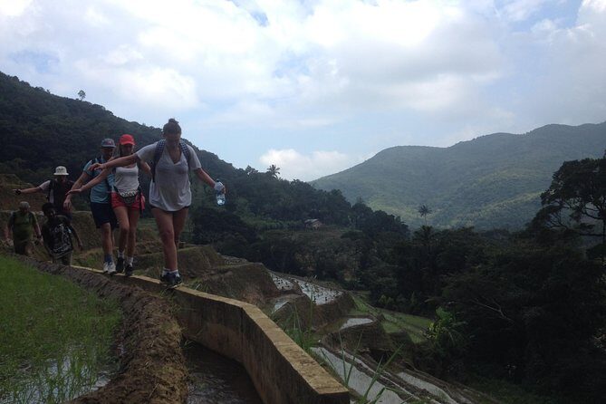 All Inclusive Knuckles Day Track With Accommodation - The trail itself: tea, forest layers, and wildlife you can actually spot