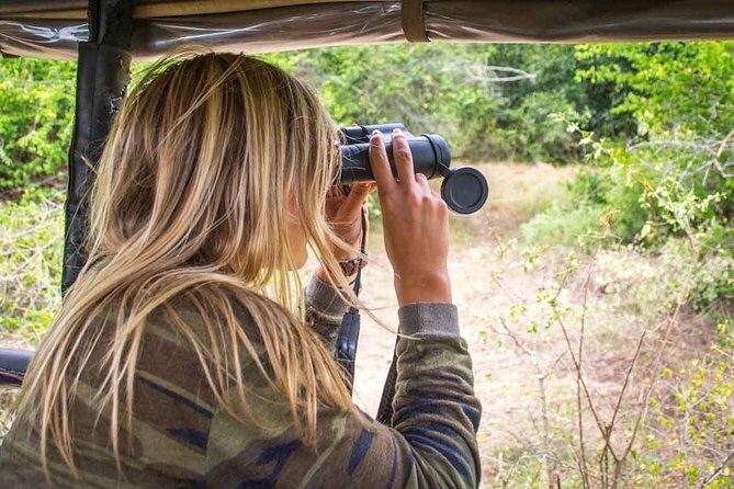 All Inclusive Leopard Nest Treehouse Safari in Yala - Price and value: is $200 a fair deal for Yala glamping?