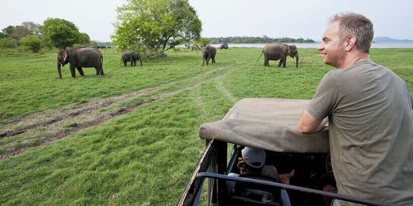 All-Inclusive Minneriya National Park Afternoon Safari - Afternoon Safari From Minneriya: Why the Timing Works