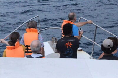 All Inclusive Mirissa Whale and Dolphin Watching Boat Ride - What the Boat Ride Feels Like (and Why It Matters)