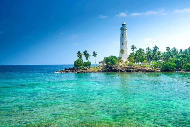 All Inclusive Mirissa Whale and Dolphin Watching Boat Ride - Hotel Pickup and the Mirissa Radius: Making Morning Easy