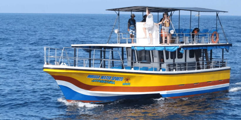 All Inclusive Mirissa Whale & Dolphin Watching + Snorkeling - Key Things I’d Pay Attention To