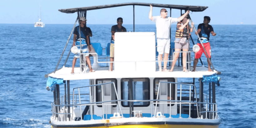 All Inclusive Mirissa Whale & Dolphin Watching + Snorkeling - Dawn Boat-Trip Energy From Mirissa