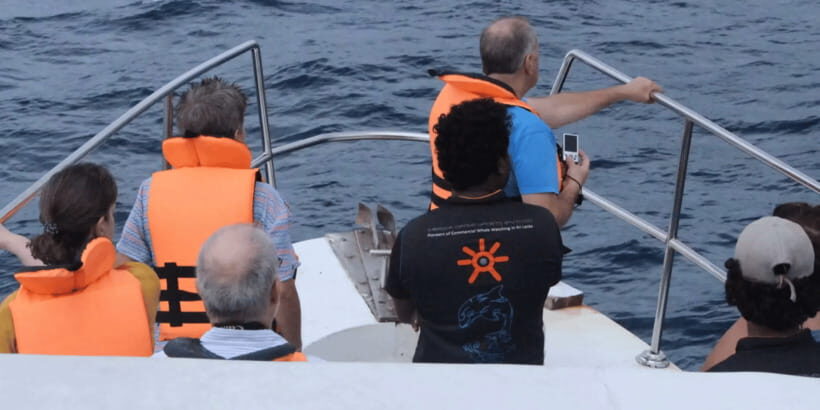 All Inclusive Mirissa Whale & Dolphin Watching + Snorkeling - Snorkeling With Sea Turtles: The Best Part Can Be the Busiest