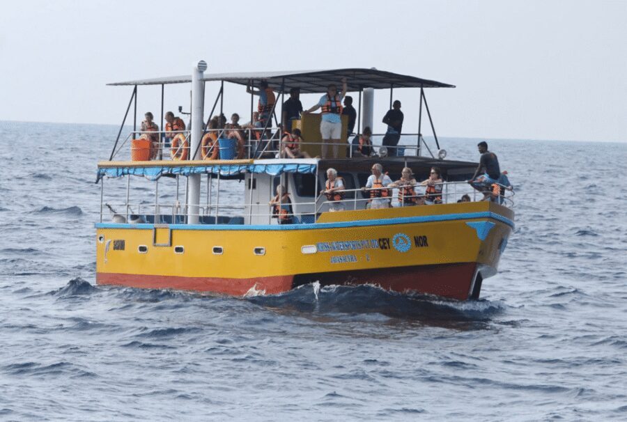 All Inclusive Mirissa Whale & Dolphin Watching + Snorkeling - What’s Included (and Why It Changes the Value)