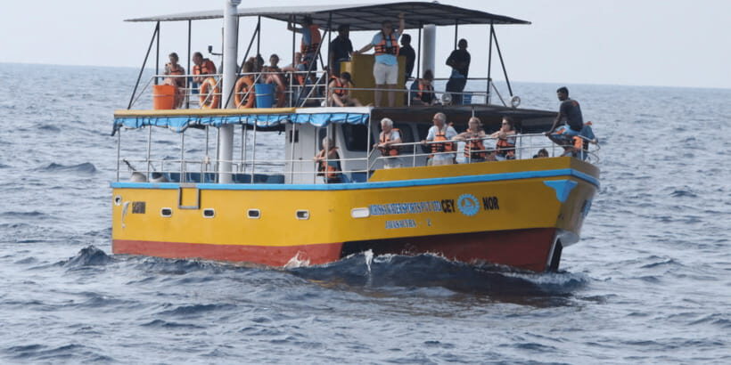 All Inclusive Mirissa Whale & Dolphin Watching + Snorkeling - The Boat Cruise: Whales, Dolphins, and Marine Life Viewing