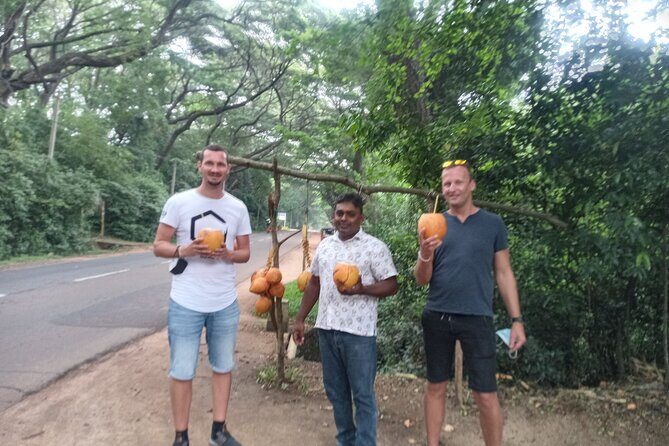 All inclusive Private day trip Sigiriya and Dambulla caves with more - Private guide + safe transport: the real value