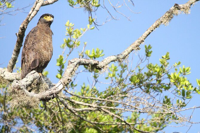 All Inclusive Private Safari in Minneriya National Park - Key things that make this Minneriya private safari work