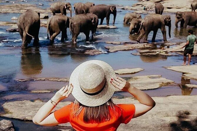All-Inclusive Private tour in Sri Lankan Island 9 Day HB hotels - Key things that make this tour work