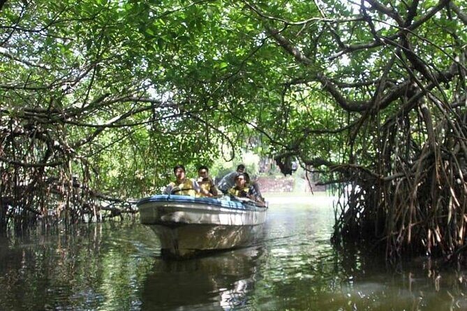 All-Inclusive Private tour in Sri Lankan Island 9 Day HB hotels - Day 2: Millennium Elephant Foundation, Golden Cave Temple at Dambulla, and Pidurangala sunset