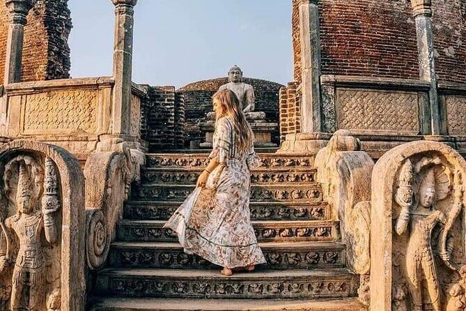 All-Inclusive Private tour in Sri Lankan Island 9 Day HB hotels - Day 3: Polonnaruwa ruins, bullock cart tradition, and Minneriya elephant safari