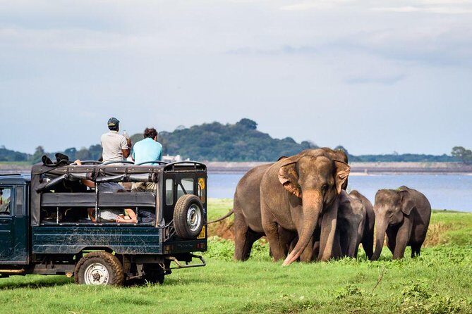 All-inclusive Sigiriya, Dambulla and Wildlife Safari from Colombo - Who should book this tour (and who might skip it)