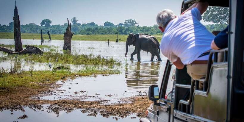 All inclussive Udawalawa National Park Safari From Colombo - Weather and comfort tips that actually matter