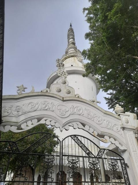Ambuluwawa Tower & Pinnawala & Kandy Day Tour From Colombo - Peradeniya and the Royal Botanical Garden: plants to slow your brain down
