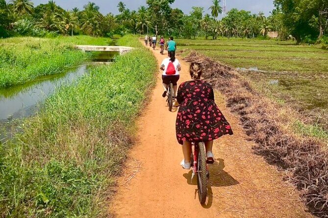 Anuradhapura Heritage Mountain bike / bicycle Tour - Food and Breaks: The Included Vegetarian Meal at Hela Bojun