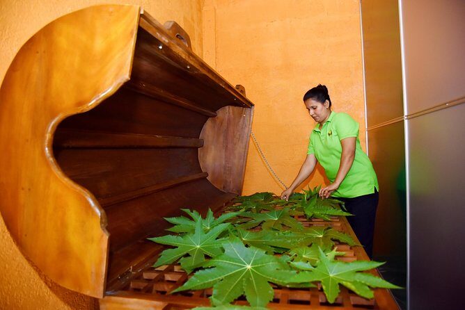 Ayurveda Day Package - Ayurveda Day Package in Bentota: what this “full treatment day” really delivers