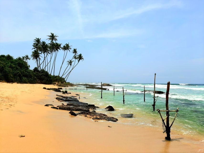 Bentota beach, River Mangroves lagoon, Wildlife Tour - Who This Tour Fits Best (and Who Might Want Something Else)