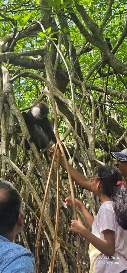 Bentota River Safari -Ahungalla/Bentota/Aluthgama/Kosgoda - Guides and Language: Why It’s Not Just a Sightseeing Cruise