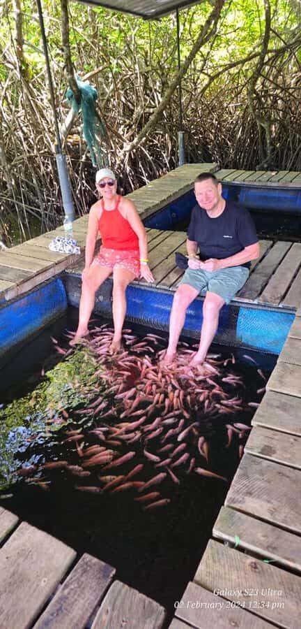 Bentota River Safari -Ahungalla/Bentota/Aluthgama/Kosgoda - Who Should Book This Safari (and Who Might Skip It)