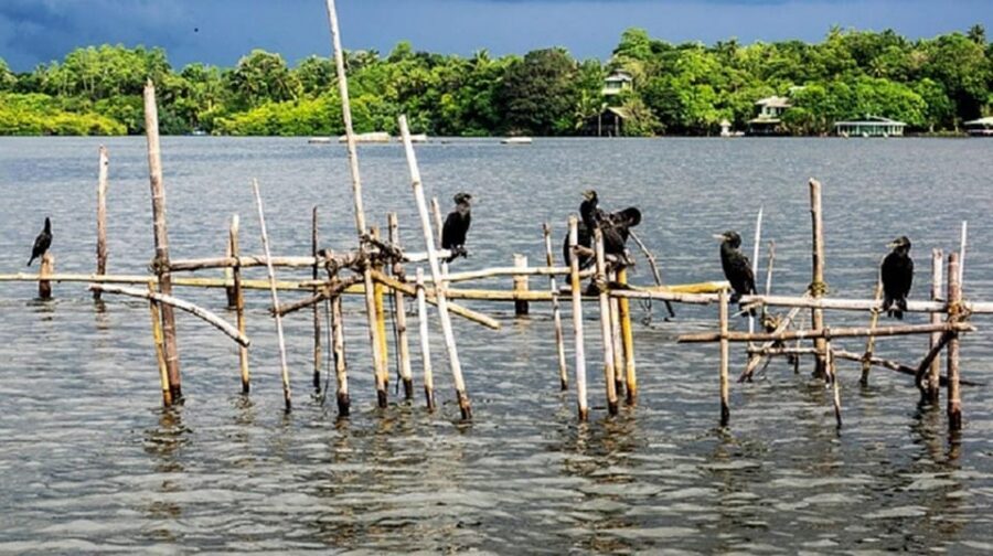 Bentota River Safari -Ahungalla/Bentota/Aluthgama/Kosgoda - Should You Book Bentota River Safari?